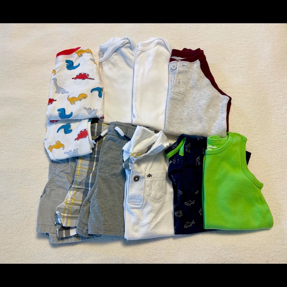 10 Piece 24 Month Boys Garanimals/Carter’s Bundle